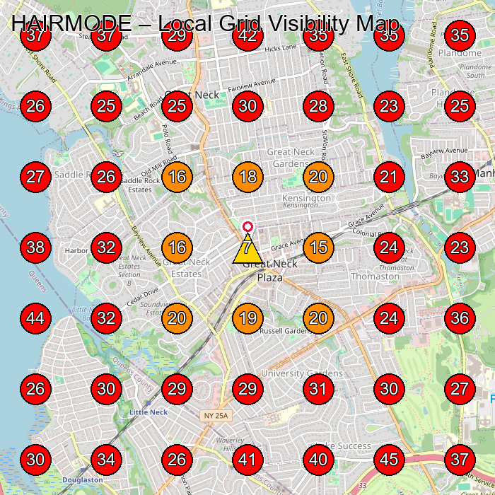 HAIRMODE GeoGrid visibility map for Hair Salon in Great Neck